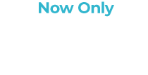 Now Only $19.99 plus processing and handling